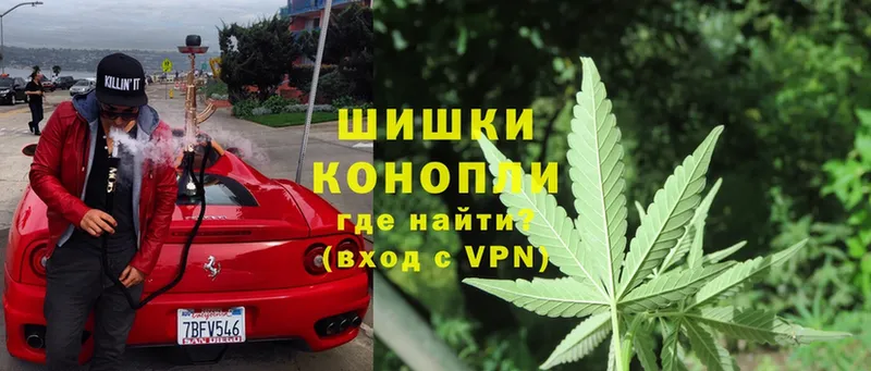 Шишки марихуана THC 21%  Волхов 